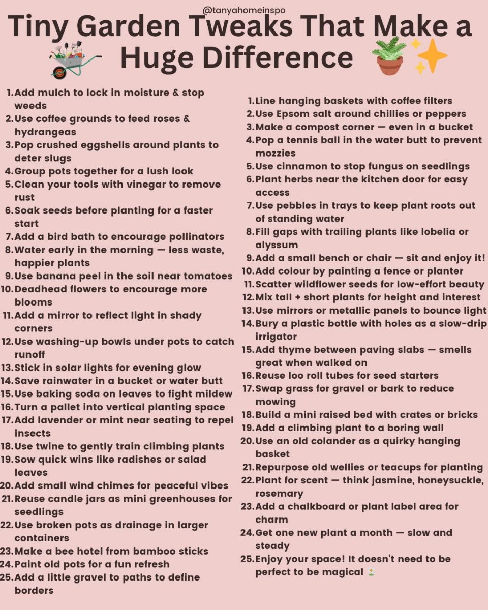 6308d506-07f8-411b-a53f-b061b12eae11