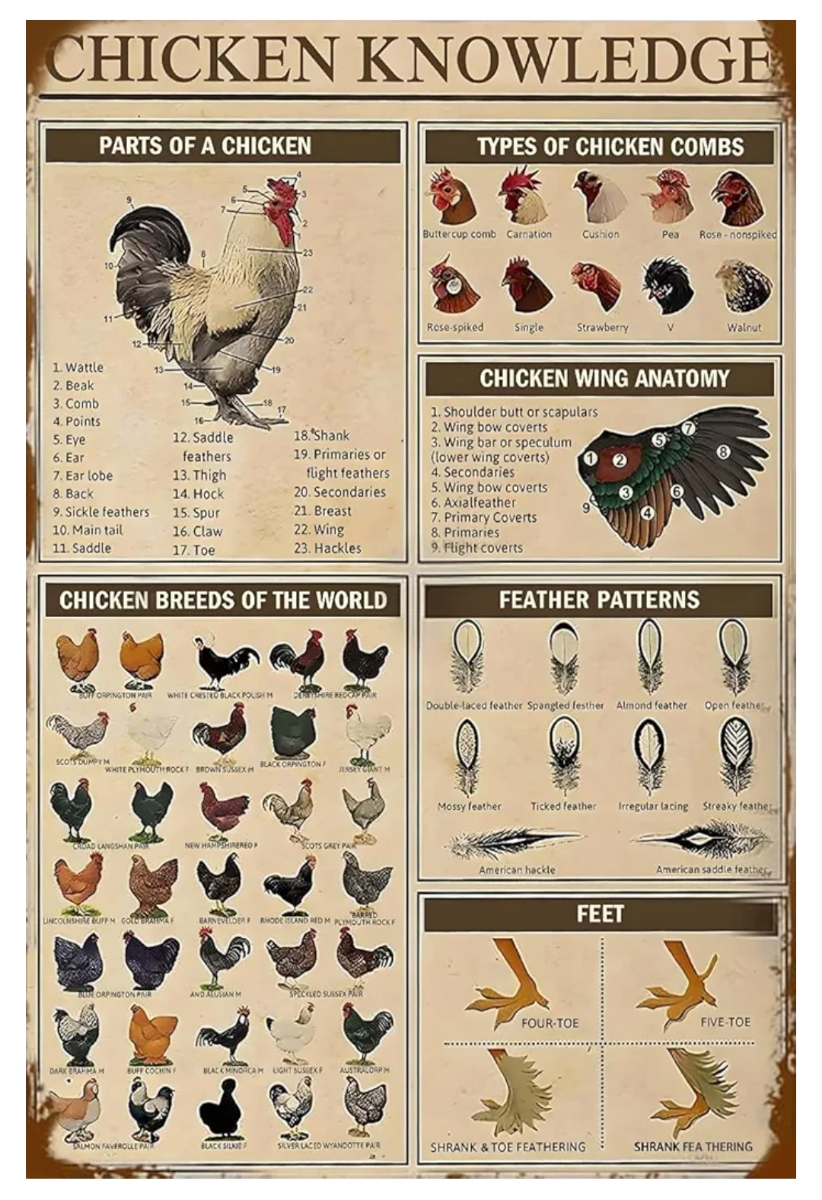 2ef55ef3-eefd-4754-8263-76d321931ac2