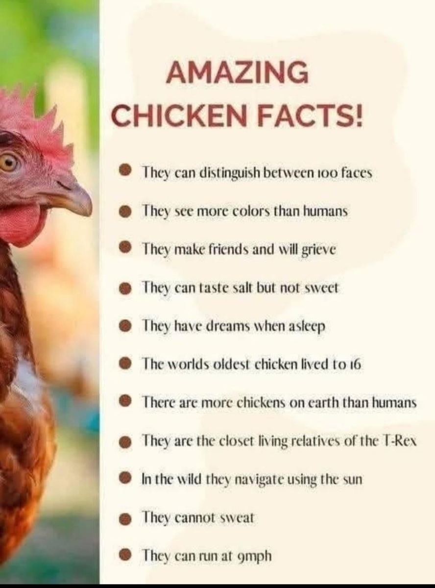 3a27a215-716a-4761-a36f-3c8d4b03318d