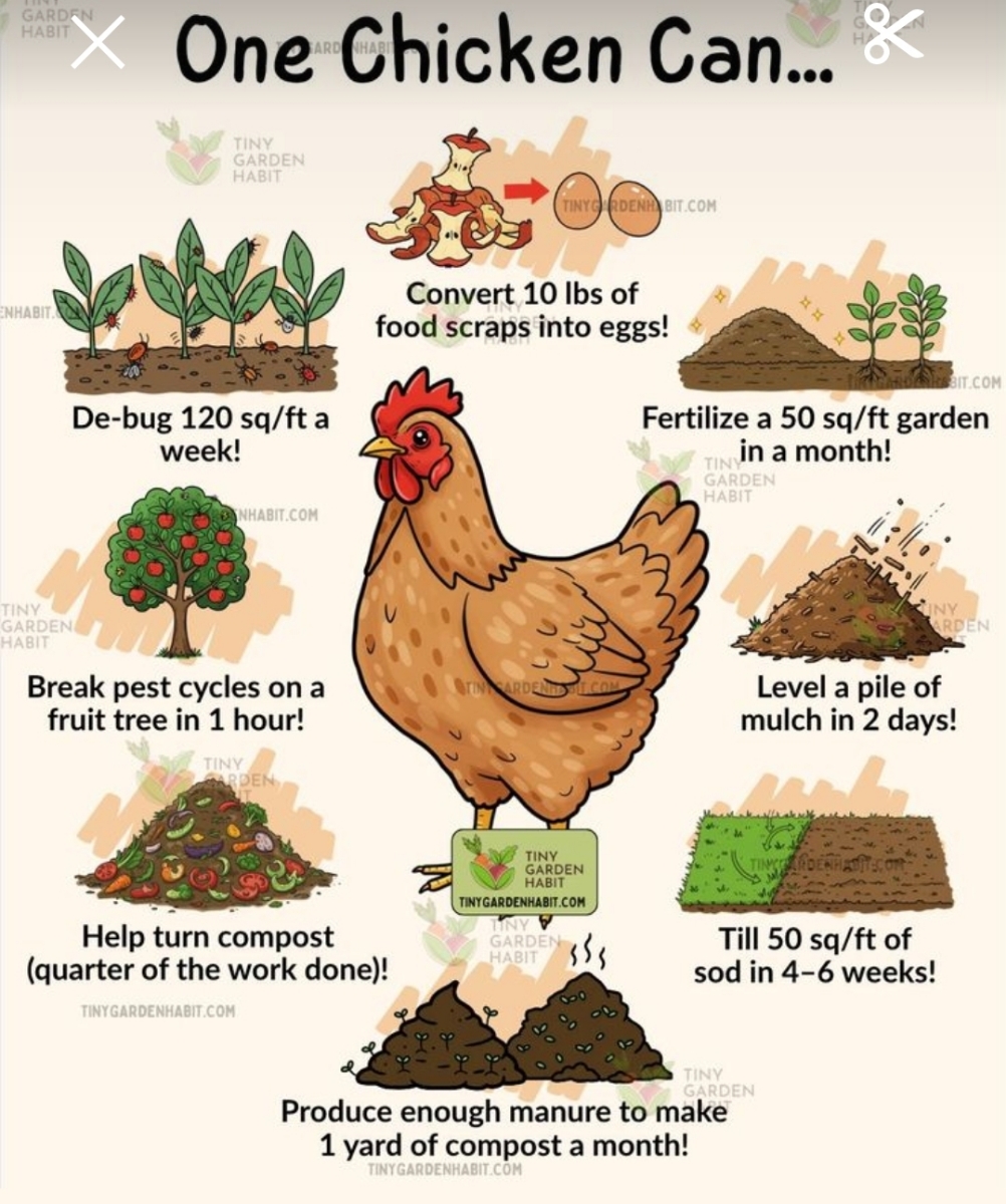 c5ddb395-67d2-4f57-9ae8-27cd8c746569