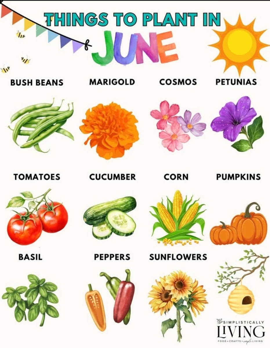 7d70456a-ce93-4357-a23c-d41cb5cb72b2